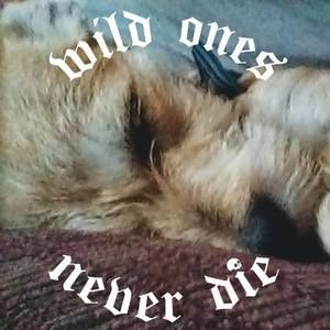 Meet your Posher, Jd